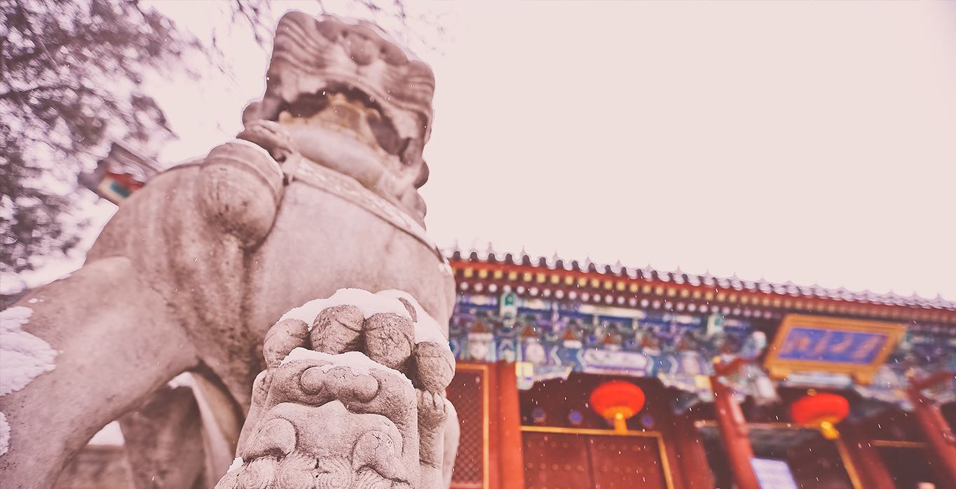 便于对照栏目动态与后续阅读