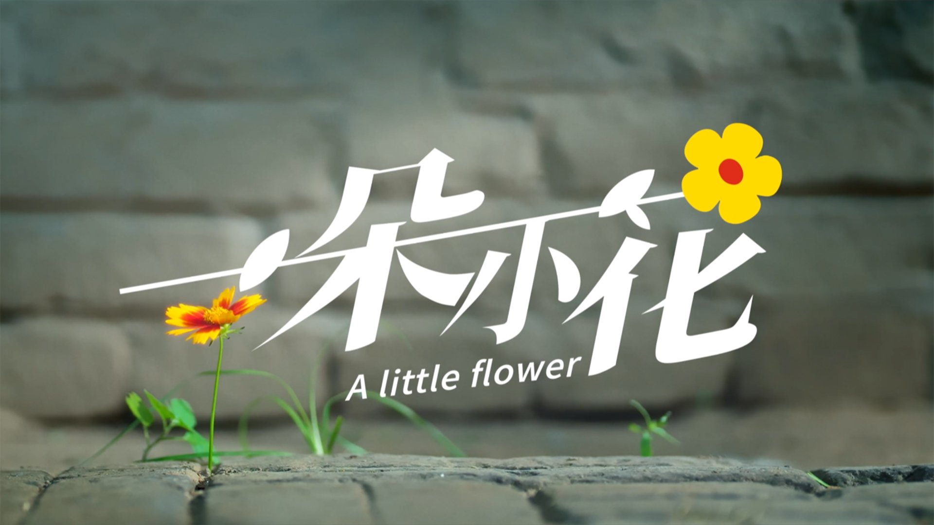 可改走栏目列表继续查找