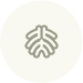 避免被站外镜像带偏