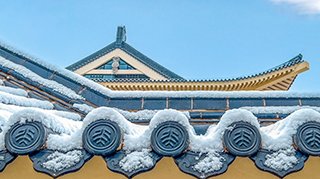 迈向世界顶级