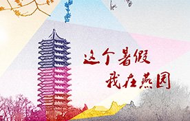 bob客户端服务中心