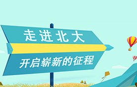 bob客户端
