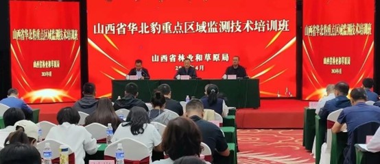 华北豹1.jpg